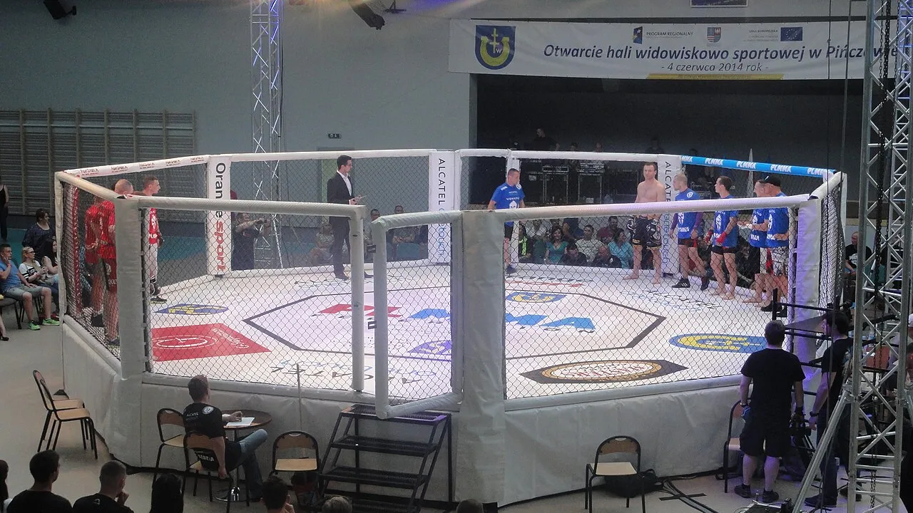Octógono do UFC visto de baixo durante apresentação de luta